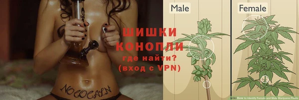 mdpv Дмитров