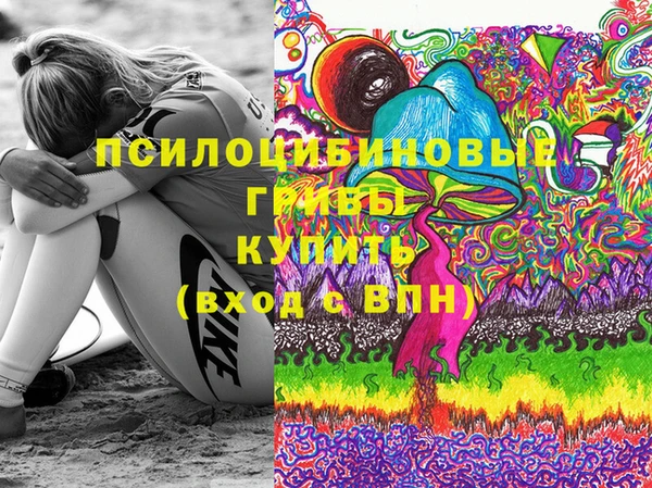 mdpv Дмитров