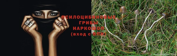 гашишное масло Дмитровск