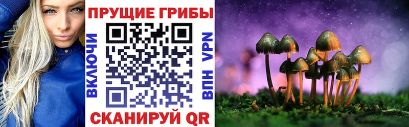 Галлюциногенные грибы прущие грибы  хочу   Новоржев 