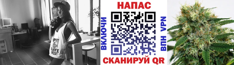 Бошки марихуана сатива  Новоржев 